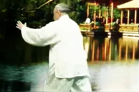 杨澄甫三子杨振铎亲演世传103式杨式太极拳图片