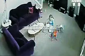 猫咪护主狂殴保姆视频网络爆红图片