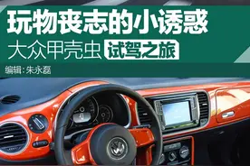 大众甲壳虫报价 新大众甲壳虫体验/内饰配置图片