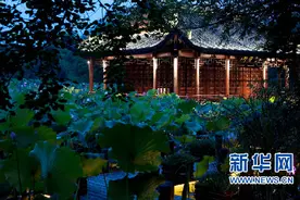 “荷塘月色·西溪夜游”7月正式开启图片