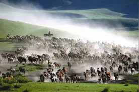 梦寻山丹马图片