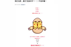 南阳要有大动作!唐河、方城撤县设市,社旗、镇平改县设区图片