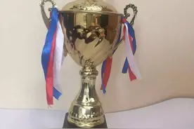 北外附小学生在英语大赛团体挑战赛中荣获佳绩！图片