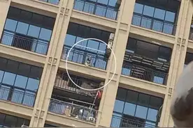 萧山一只阿拉斯加犬阳台暴晒死亡！主人：它头和脚卡在栏杆，拉不回来……图片