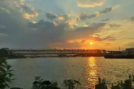 目前跨越黄浦江的大桥有哪些，它们创造了哪些记录，你知道吗？图片