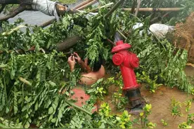 男子在台风中潜入污水12次关阀止水(组图)图片