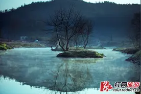 常德桃花源推迟至8月重新开放 你想知道的一切都在这里图片