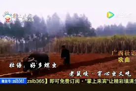广西最牛农民，种甘蔗都是一首歌！图片