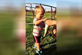 小孩子钓上一条鱼，看看这鱼竿真让爱钓鱼的佩服图片