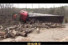 山西平陆：木材运输车侧翻 平陆救出被困司机图片