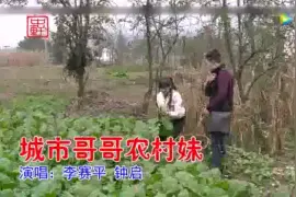 李赛萍/钟启 城市哥哥农村妹视频封面