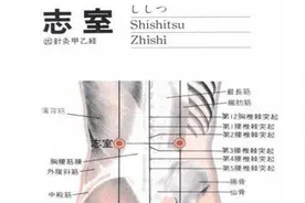 志室穴穴位的准确位置图图片