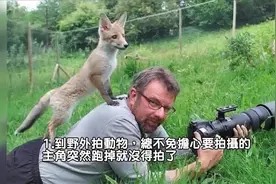 摄影师：快回去站好，我在帮你拍写真呢视频封面