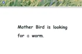 Yoyo读绘本——Mother bird图片