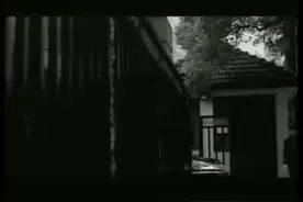 孙俪曾出演rain的mv，一起跳街舞。孙俪跳街舞也好飒视频封面