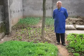 “法盲”爹爹种罂粟用其炒菜 民警拔除2620株图片