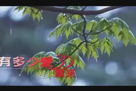 迪克牛仔《有多少爱可以重来》经典好听,听完要好好珍惜图片