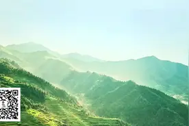 据医药记载,龙牙百合有润肺止咳、养颜美容、提高免疫力等功效视频封面