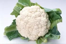 花菜的营养价值-花菜的功效与作用图片