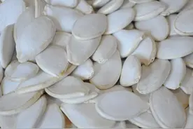 南瓜子的功效与作用-南瓜子的营养价值图片