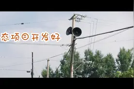 《二龙湖爱情故事2020》创业先锋浩哥带领全村脱贫致富！图片