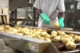 实拍食品包装过程，你爱吃的薯片、牛角包、雪糕，看着就很爽图片