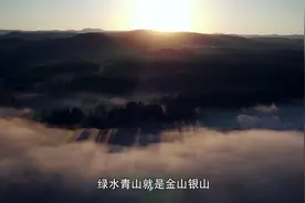 森林防火宣传片图片