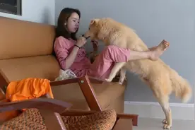 可爱的女孩在家里跟狗狗玩，看看她的花样吧图片