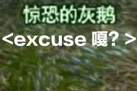阵营神鹅？剑网3唯满侠爆发“惊鹅事变”图片