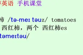 新概念英语第一册第50课单词：西红柿tomato复数是tomatoes
