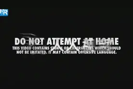 蠢萌鸭子追主人 刚开始用两只腿追 鸭翅力都使上了才勉强追上