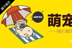 当雪橇三傻遇上大白熊，竟还有模有样的对峙起来！图片