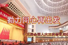 时政V现场丨勠力同心再出发图片
