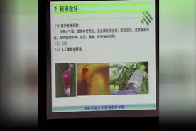 细菌杀虫剂可以与化学农药混用，真菌杀虫剂为什么不能？视频封面
