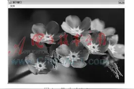 浅谈Authorware中的鼠标跟随动画效果图片