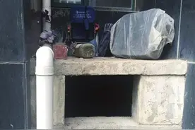小猫掉进十米通风口，德州居民喂食两年图片