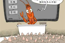 小龙虾消费火爆“龙虾学院”顺势成立招生图片