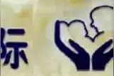 杉树林上空的高压线藏安全隐患图片