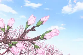 一大波黑龙潭醉蝶花高清大图，存下当壁纸图片