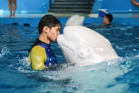 杭州长乔海洋极地公园开启冰雪消暑模式图片