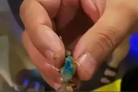 震惊！呼市一连锁烧烤店羊肉串中惊现“蓝色不明物体” 你还敢去撸串吗？图片