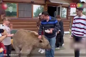俄罗斯的熊果然没有尊严图片