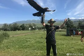 杨幂老爸新疆展雄风 大雕在手霸气似拍武侠片图片