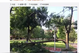 成都昨晚刮“台风”！你被吓醒了吗？图片