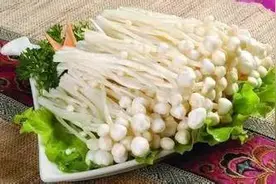 「美食」可以当零食吃的金针菇！图片