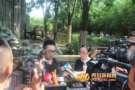 饲养员粗鲁摔大熊猫？当事人:误会 出于本能自保图片