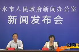 衡水市政府新闻办 “哈励逊国际和平医院南部新院区项目建设” 新闻发布会全程实录图片