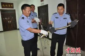 野生蛇突访博物馆 森林警方紧急排险情(图)图片