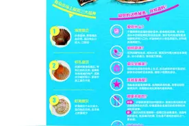 揭秘青岛扇贝三大家族：外壳颜色分别为褐红白图片