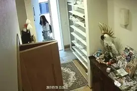 福建女教师在日本失联前视频曝光，日本网友：美女一人旅行不安全图片